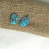 Turquoise Statement Earrings