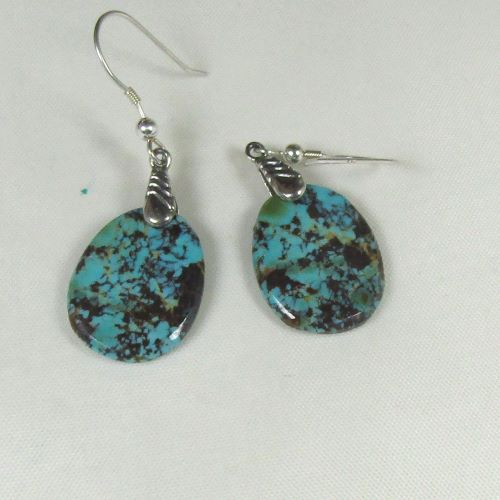 Variegated Turquoise Drop Earrings - Sterling Silver