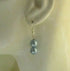 Blue Shell Pearl Earrings