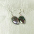 Abalone Shell Earrings