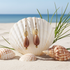 Golden Sea Urchin & Gold Earrings