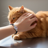Child's I Love My Cat Black Braided  Bracelet