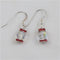 Fire And Ice Crystal Earrings - VP's Jewelry