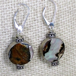 Sterling silver encased gemstone earring