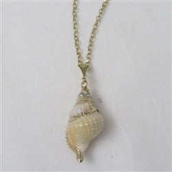 Cream Distorsio Shell Pendant Necklace on Gold Chain - VP's Jewelry