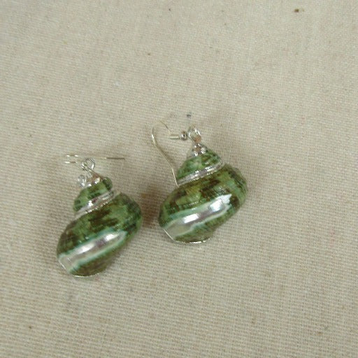 Green Turban Sea Shell Earrings Silver - VP's Jewelry