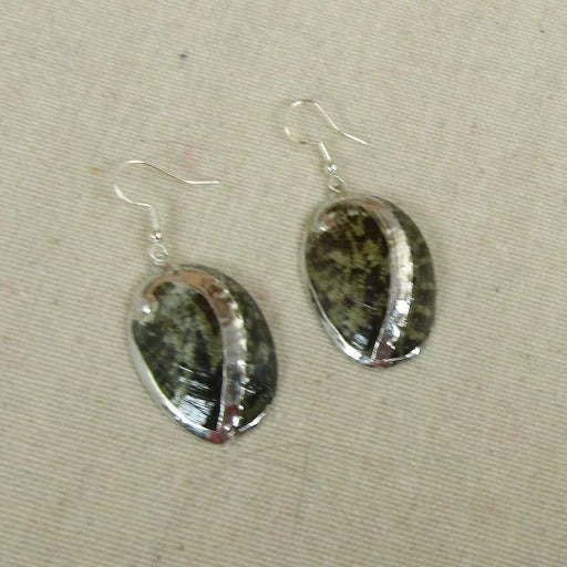Abalone Sea Shell Drop Earrings - VP's Jewelry