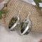 Abalone Sea Shell Drop Earrings - VP's Jewelry