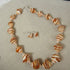 Cream & Tan Sea Shell Necklace & Earrings