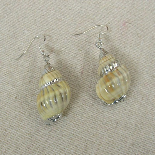 Cream Turban Sea Shell Earrings - VP's Jewelry