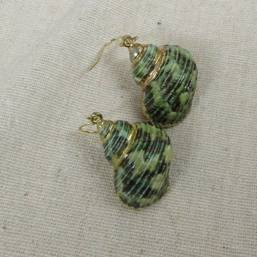 Green Sea Shell Earrings Ocean Jewelry - VP's Jewelry