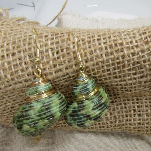 Green Sea Shell Earrings Ocean Jewelry - VP's Jewelry