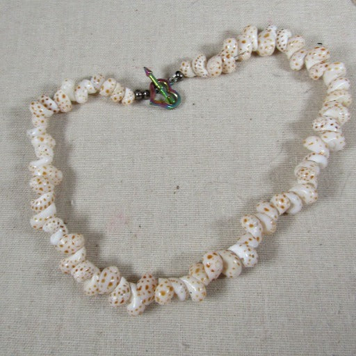 sea shell necklace