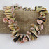 Large Everlasting Natural Sea Shell Necklace Bold