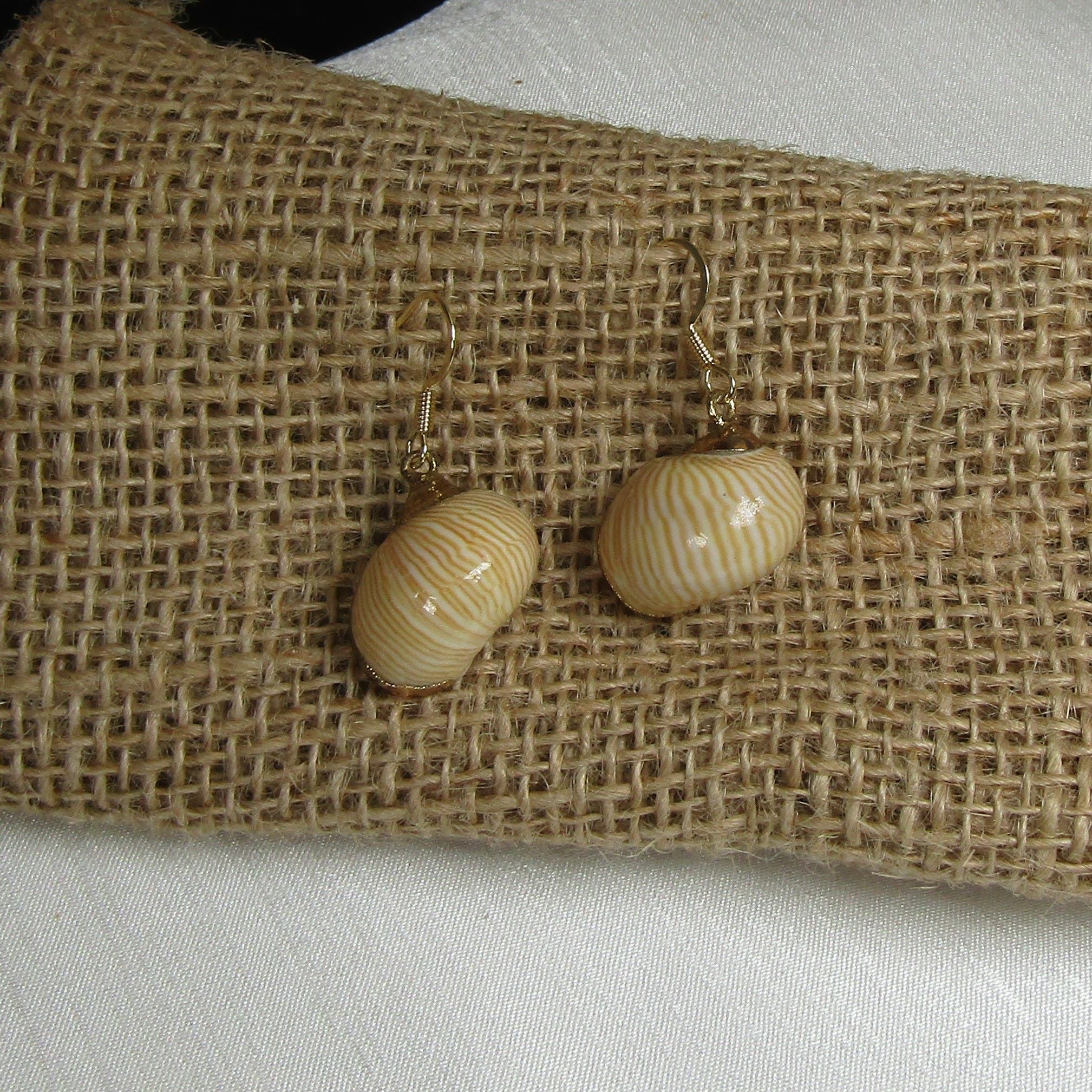 sea shell earrings