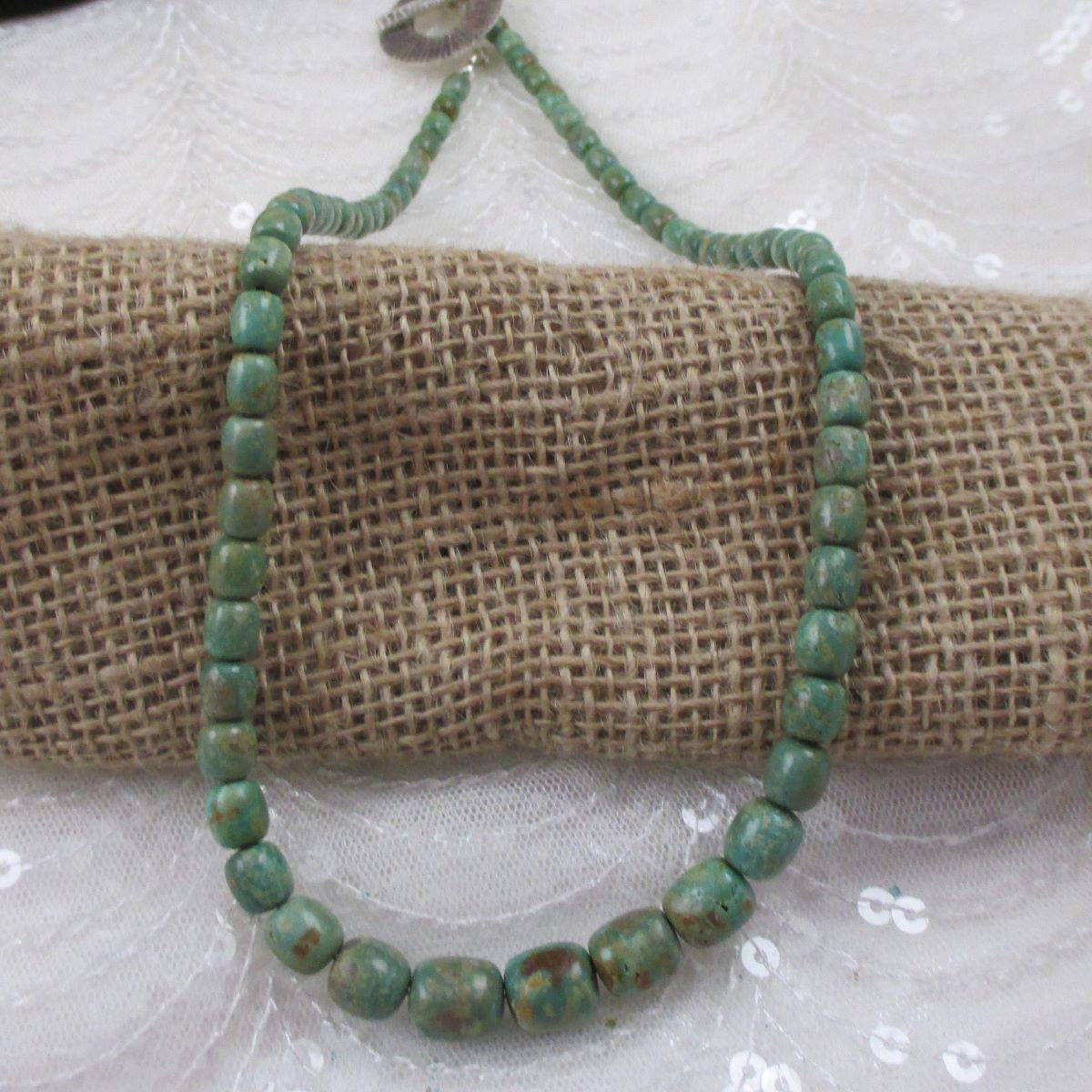 Campo Frio Turquoise Necklace